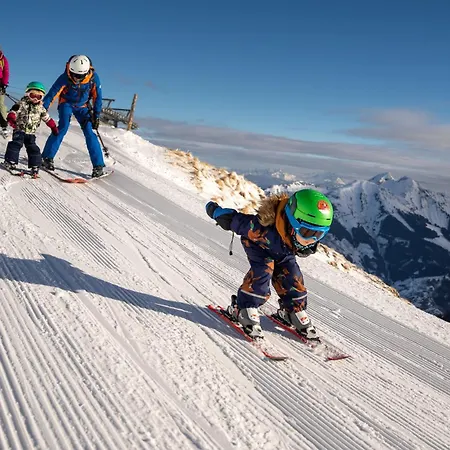 Garni Wieshof Отель типа 