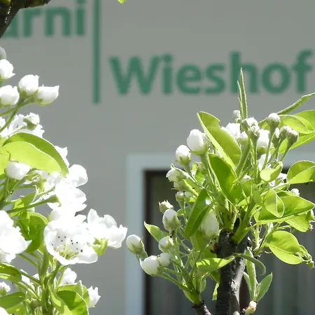 Garni Wieshof 3* Раурис