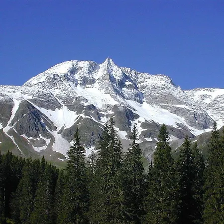 Garni Wieshof Отель типа 